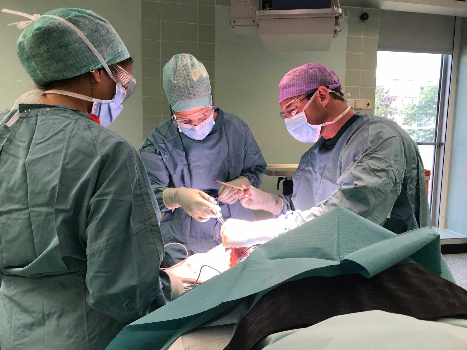 Chirurgie-Keppert-Dr-Alexander-Keppert-Chirurg-Wien-1050-Schilddruese-Wien